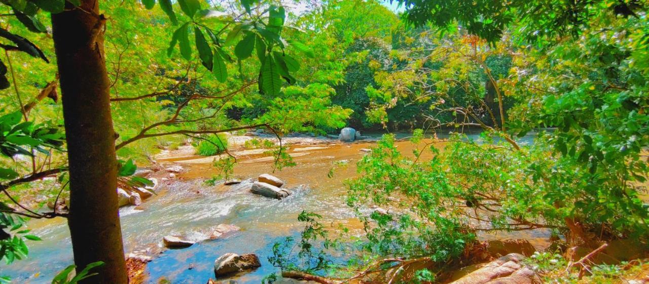 Casa Kumake Tayrona Villa Ел Заино Екстериор снимка