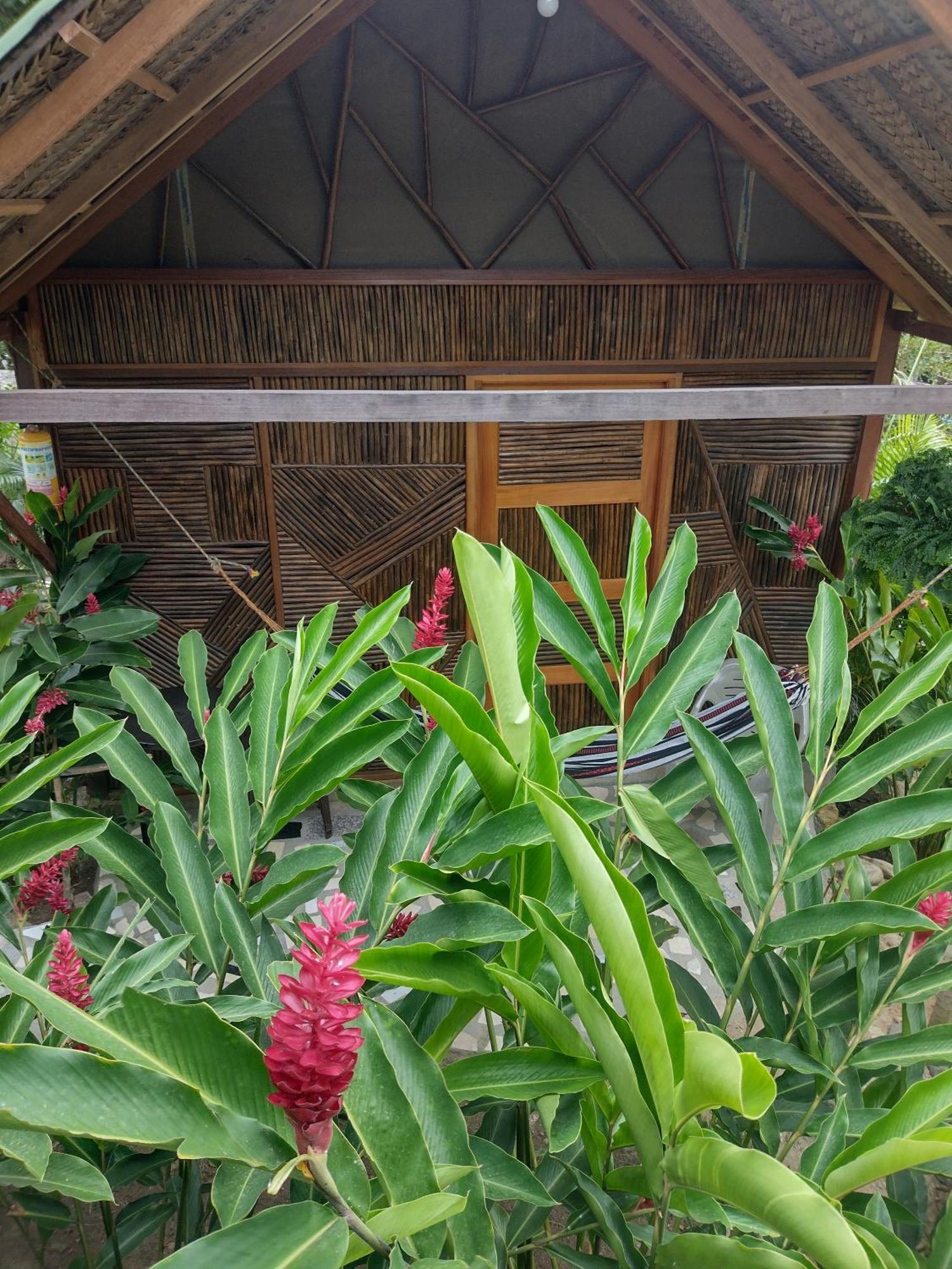 Casa Kumake Tayrona Villa Ел Заино Екстериор снимка
