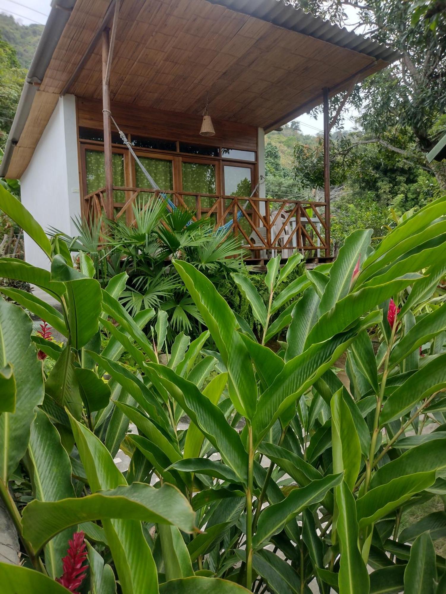 Casa Kumake Tayrona Villa Ел Заино Екстериор снимка