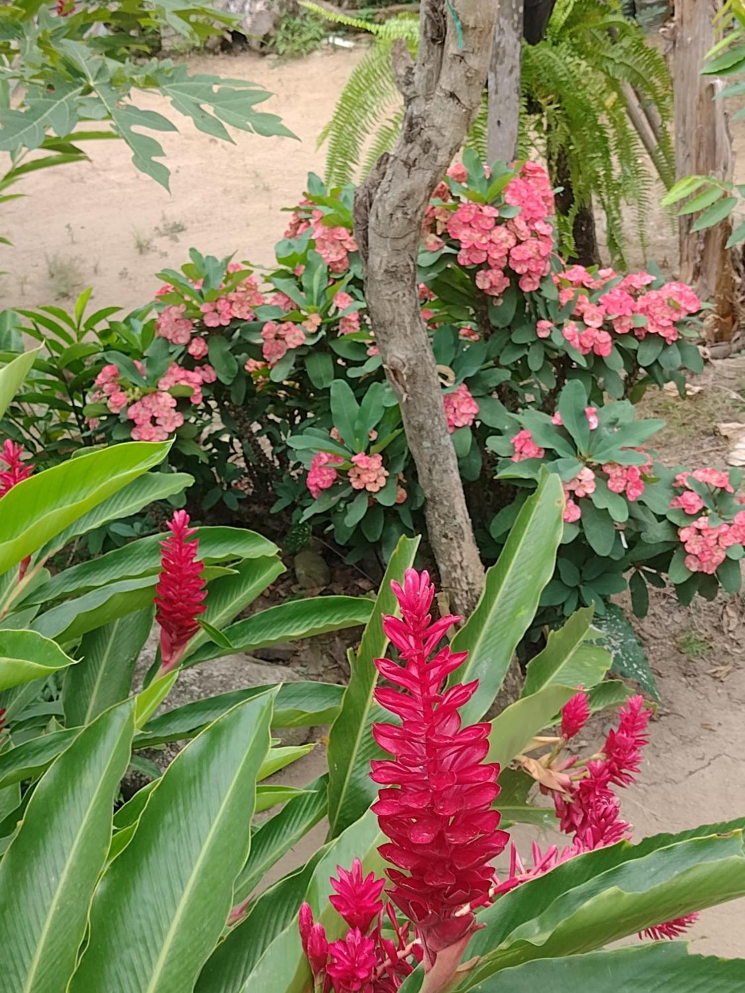 Casa Kumake Tayrona Villa Ел Заино Екстериор снимка