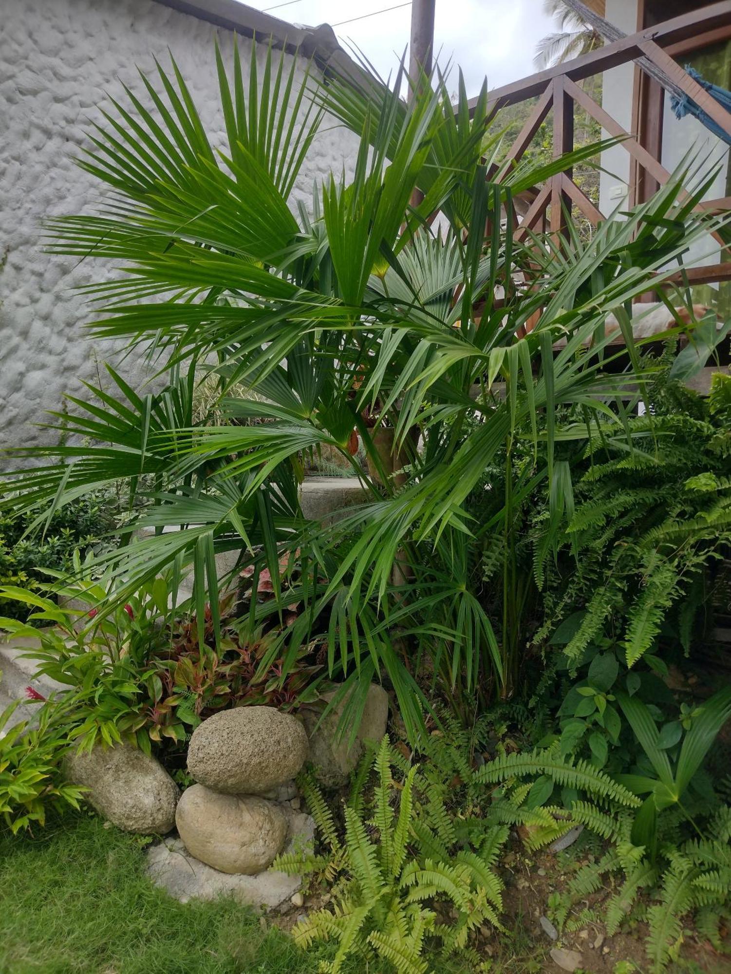 Casa Kumake Tayrona Villa Ел Заино Екстериор снимка